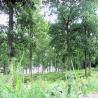 images/Schweden/Schweden 2009/IMG_4387.jpg